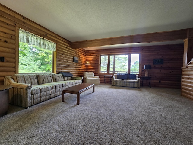 8716 W Mccollum Lake Rd, Curran, MI 48728 - photo 25
