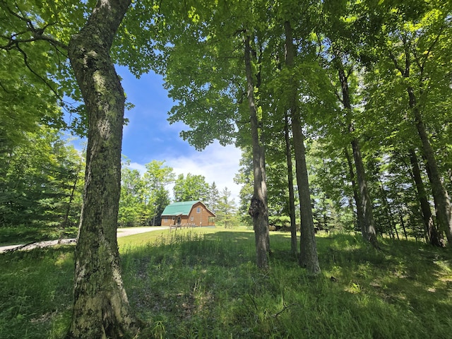 8716 W Mccollum Lake Rd, Curran, MI 48728 - photo 70