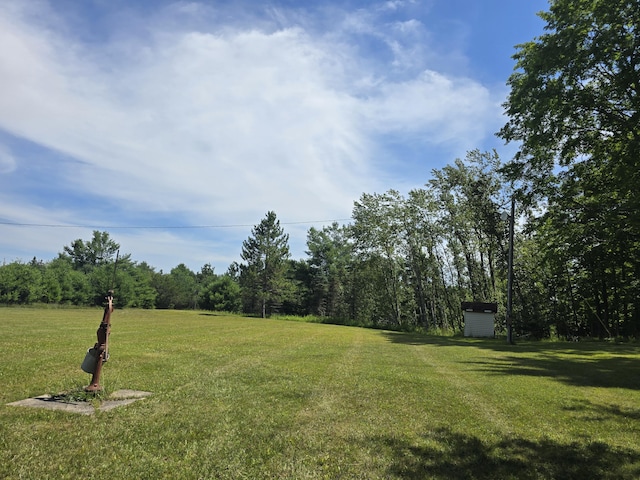 8716 W Mccollum Lake Rd, Curran, MI 48728 - photo 72