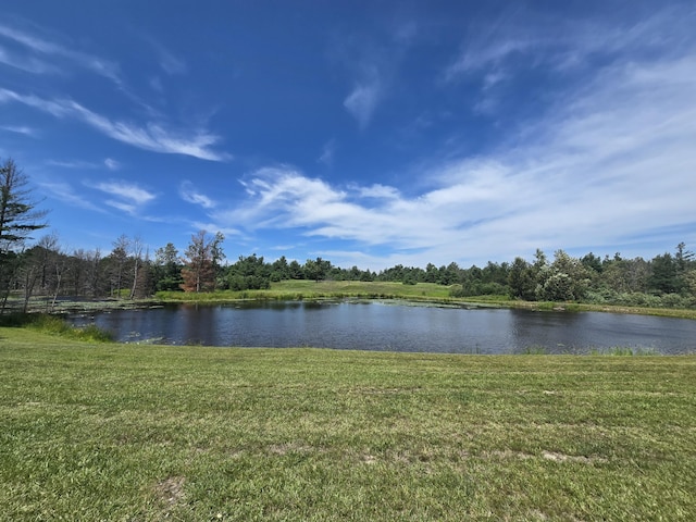 8716 W Mccollum Lake Rd, Curran, MI 48728 - photo 73