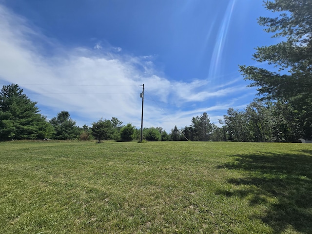 8716 W Mccollum Lake Rd, Curran, MI 48728 - photo 74