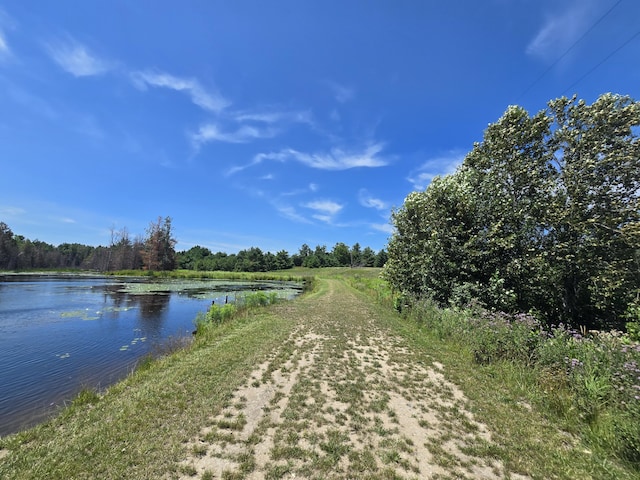 8716 W Mccollum Lake Rd, Curran, MI 48728 - photo 75