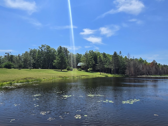 8716 W Mccollum Lake Rd, Curran, MI 48728 - photo 76
