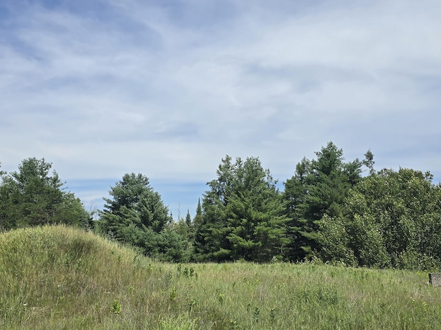 8716 W Mccollum Lake Rd, Curran, MI 48728 - photo 79