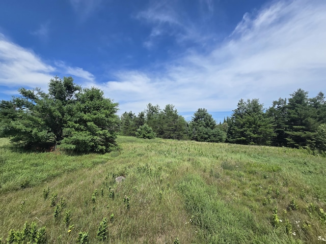 8716 W Mccollum Lake Rd, Curran, MI 48728 - photo 80
