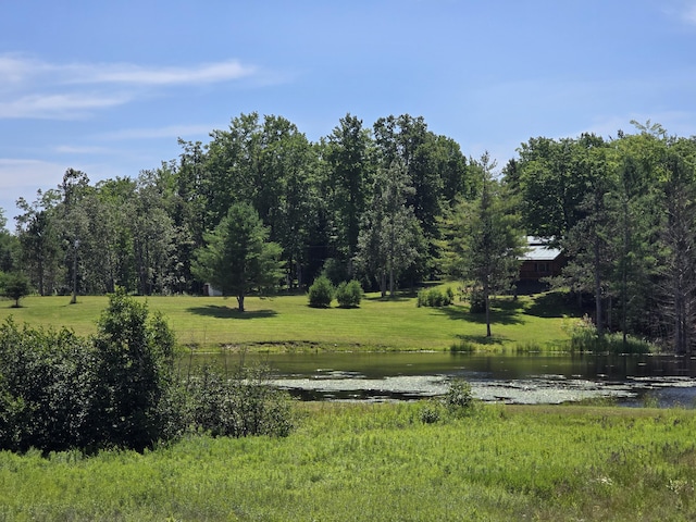 8716 W Mccollum Lake Rd, Curran, MI 48728 - photo 78