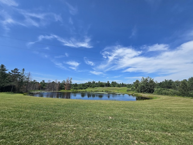 8716 W Mccollum Lake Rd, Curran, MI 48728 - photo 82