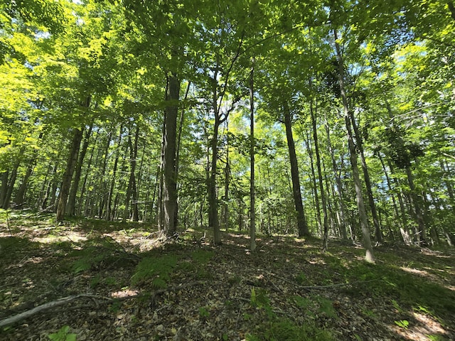 8716 W Mccollum Lake Rd, Curran, MI 48728 - photo 85