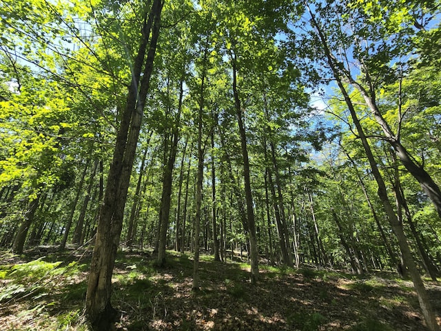 8716 W Mccollum Lake Rd, Curran, MI 48728 - photo 86