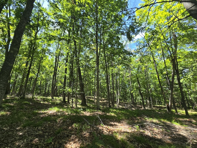 8716 W Mccollum Lake Rd, Curran, MI 48728 - photo 88