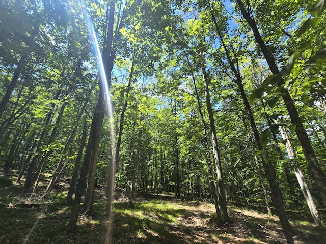 8716 W Mccollum Lake Rd, Curran, MI 48728 - photo 89