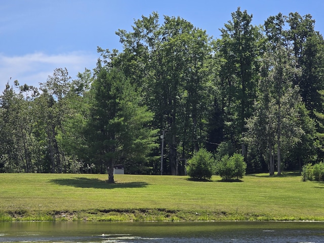 8716 W Mccollum Lake Rd, Curran, MI 48728 - photo 91