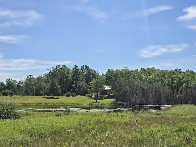 8716 W Mccollum Lake Rd, Curran, MI 48728 - photo 92