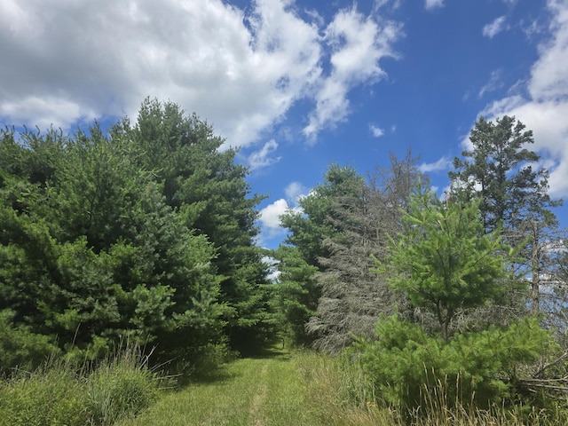 8716 W Mccollum Lake Rd, Curran, MI 48728 - photo 95