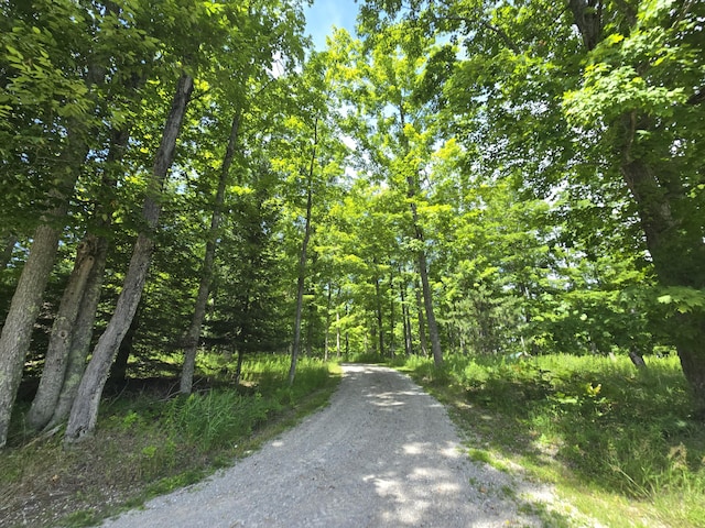 8716 W Mccollum Lake Rd, Curran, MI 48728 - photo 105