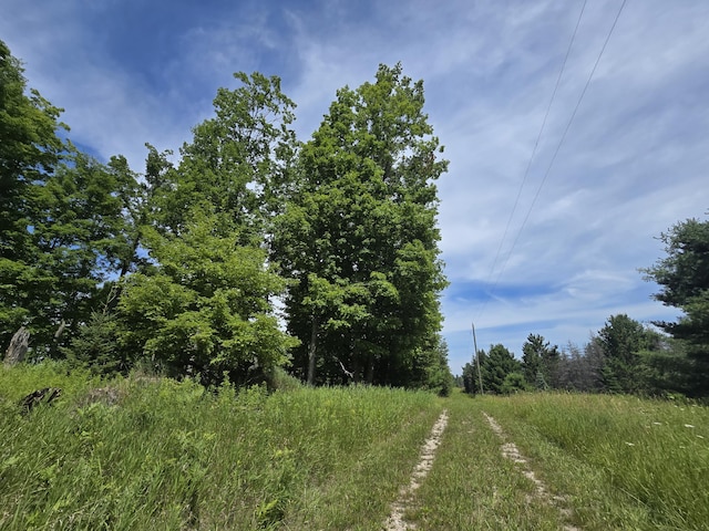 8716 W Mccollum Lake Rd, Curran, MI 48728 - photo 98