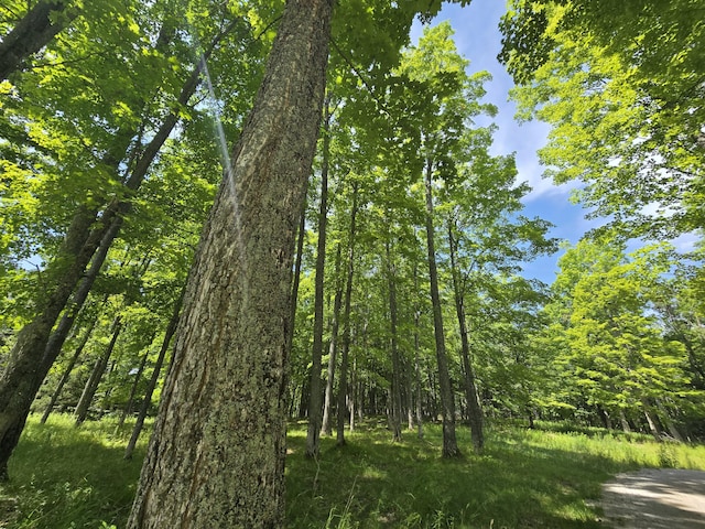 8716 W Mccollum Lake Rd, Curran, MI 48728 - photo 99