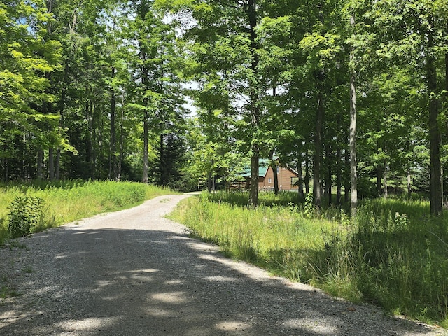 8716 W Mccollum Lake Rd, Curran, MI 48728 - photo 101