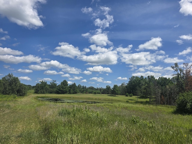 8716 W Mccollum Lake Rd, Curran, MI 48728 - photo 94