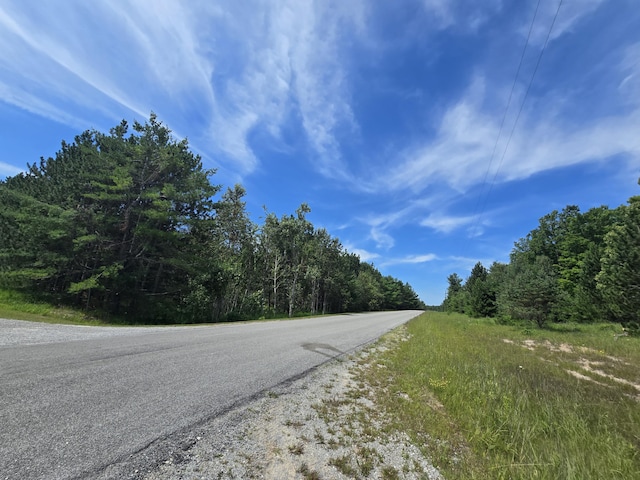 8716 W Mccollum Lake Rd, Curran, MI 48728 - photo 112