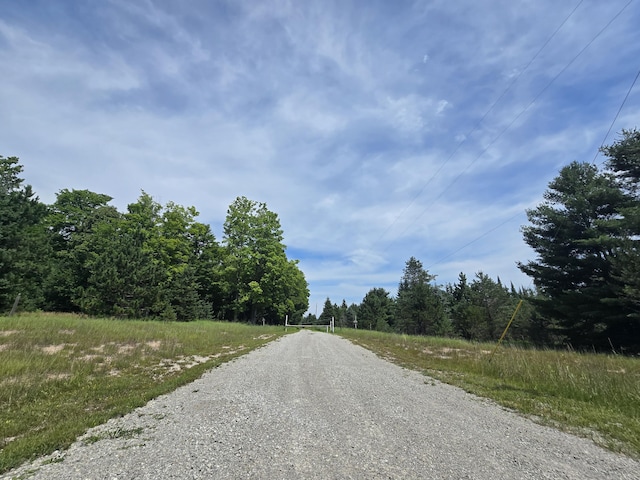8716 W Mccollum Lake Rd, Curran, MI 48728 - photo 107