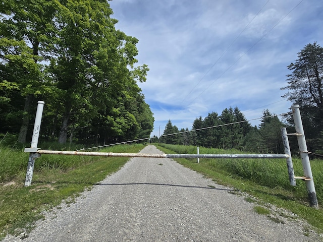8716 W Mccollum Lake Rd, Curran, MI 48728 - photo 109