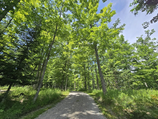 8716 W Mccollum Lake Rd, Curran, MI 48728 - photo 104