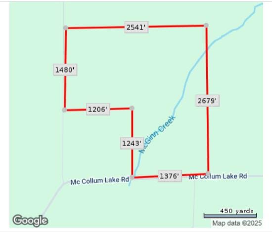 8716 W Mccollum Lake Rd, Curran, MI 48728 - photo 114