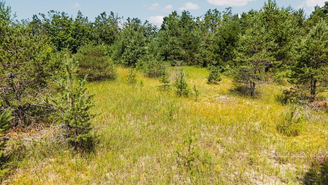 LOT22 Sunshine Ln, Gaylord, MI 49735 - photo 8