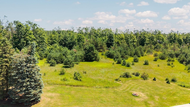 LOT22 Sunshine Ln, Gaylord, MI 49735 - photo 18