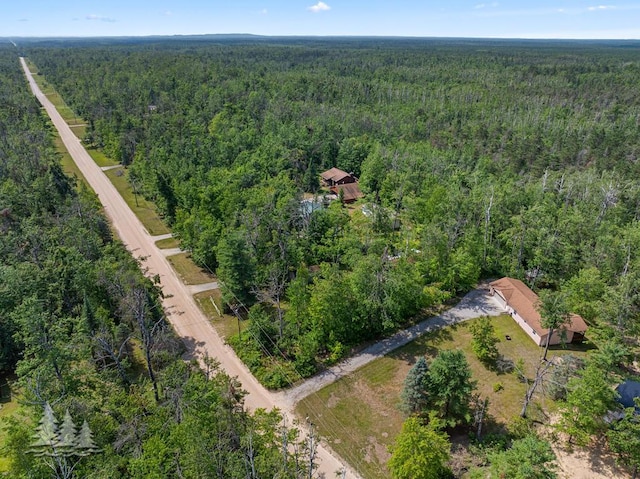2110 Hill Rd, Lewiston, MI 49756 - photo 35