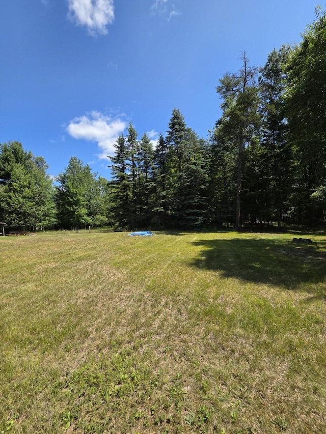 10877 Johnston Blvd, Saint Helen, MI 48656 - photo 2
