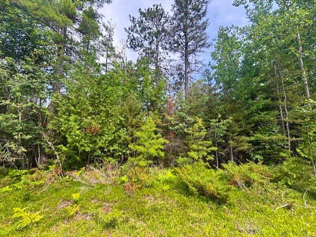 V/L Suanqua Dr, Presque Isle, MI 49777 - photo 1
