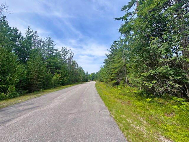 V/L Suanqua Dr, Presque Isle, MI 49777 - photo 3