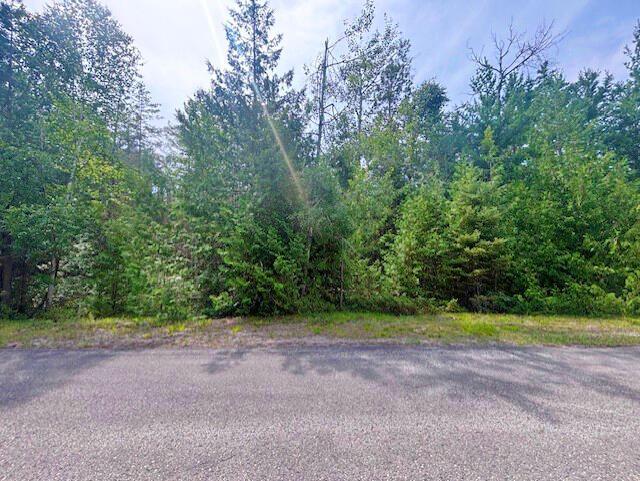 V/L Suanqua Dr, Presque Isle, MI 49777 - photo 4