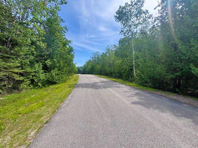 V/L Suanqua Dr, Presque Isle, MI 49777 - photo 5