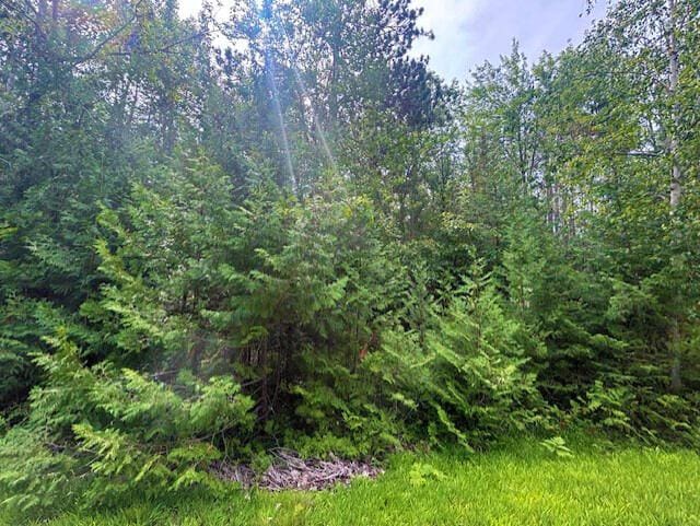 V/L Suanqua Dr, Presque Isle, MI 49777 - photo 6