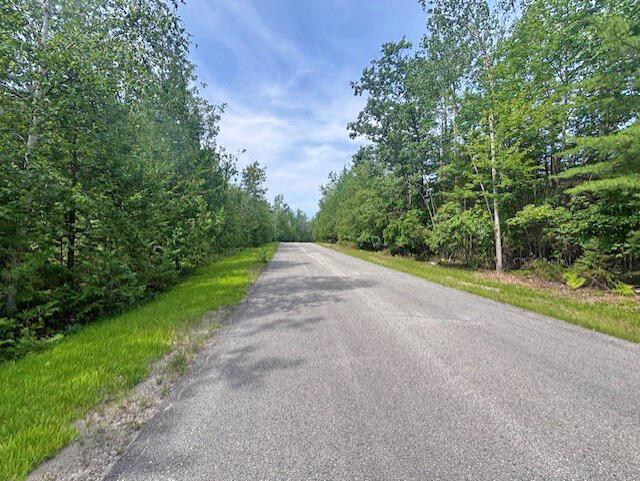 V/L Suanqua Dr, Presque Isle, MI 49777 - photo 7