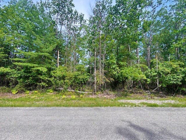V/L Suanqua Dr, Presque Isle, MI 49777 - photo 8