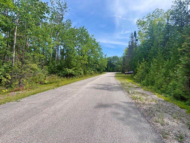 V/L Suanqua Dr, Presque Isle, MI 49777 - photo 9