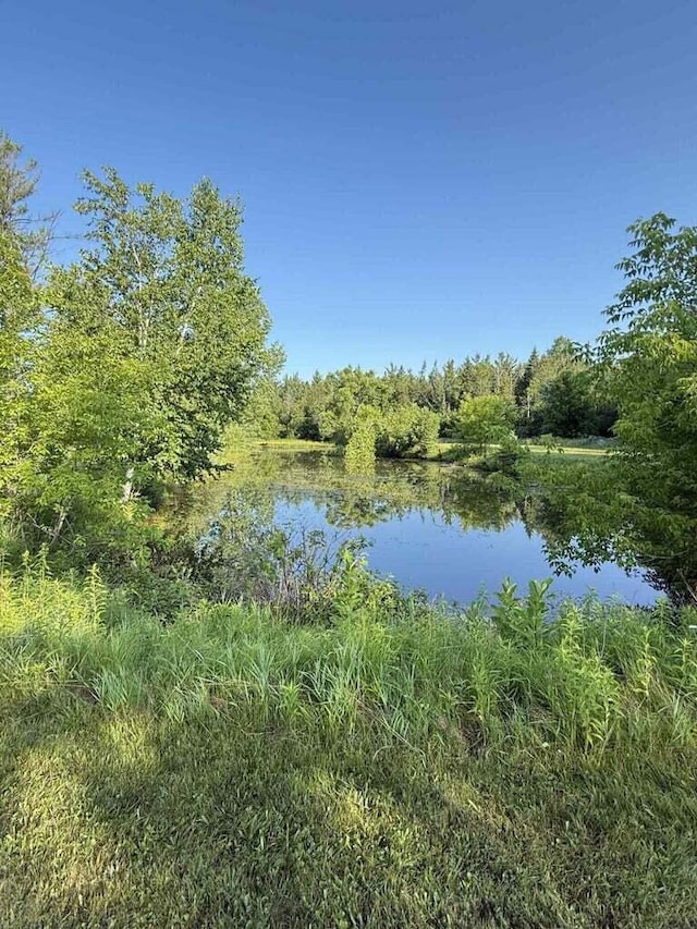 14685 Hubbard Lake Rd, Hubbard Lake, MI 49747 - photo 31