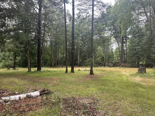 3640 Stephanie Trl, Prescott, MI 48756 - photo 5