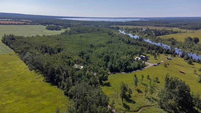 7250 Artesian Trl, Cheboygan, MI 49721 - photo 43