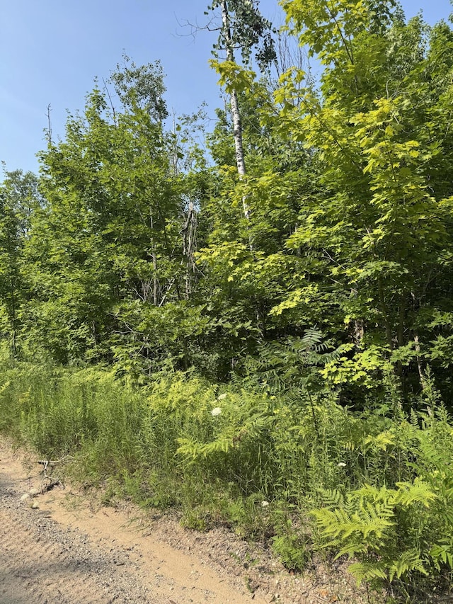 LOT387 Greenway Dr, Frederic, MI 49733 - photo 1