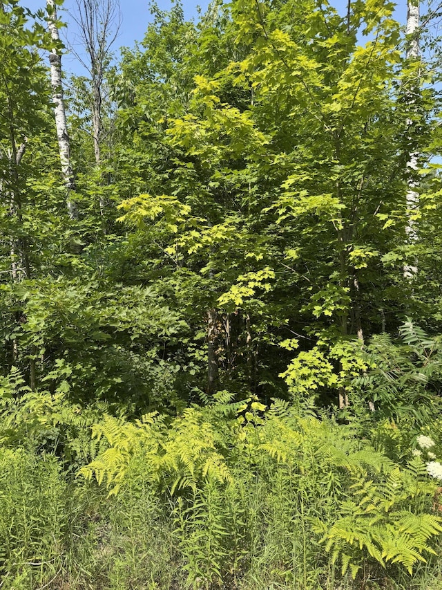 LOT387 Greenway Dr, Frederic, MI 49733 - photo 6