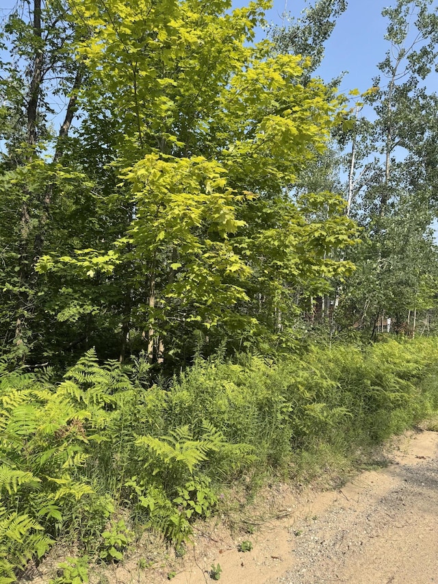 LOT387 Greenway Dr, Frederic, MI 49733 - photo 4