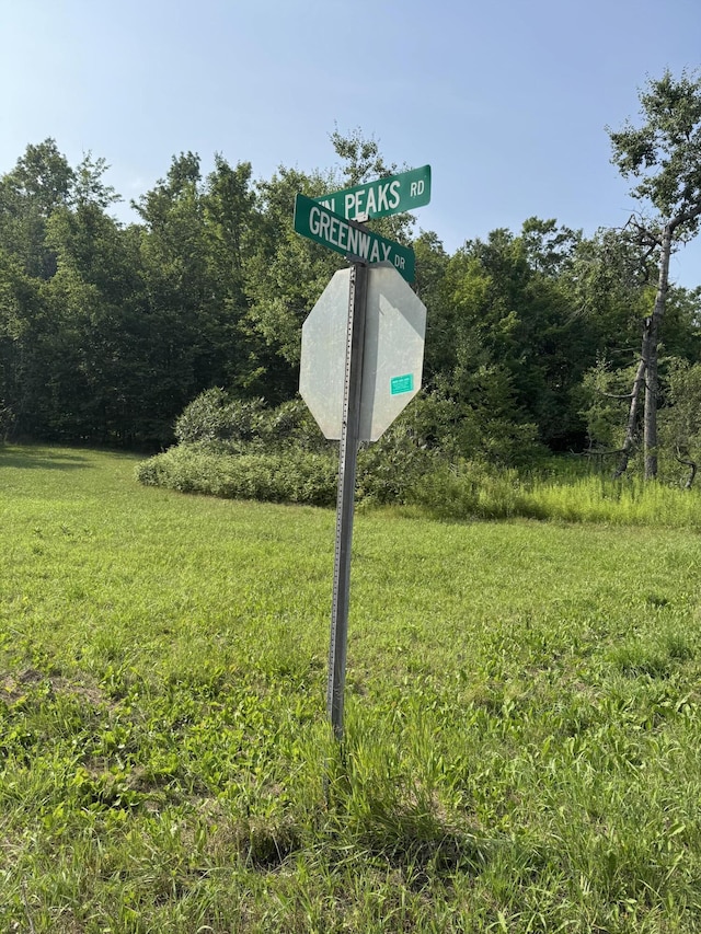 LOT387 Greenway Dr, Frederic, MI 49733 - photo 3