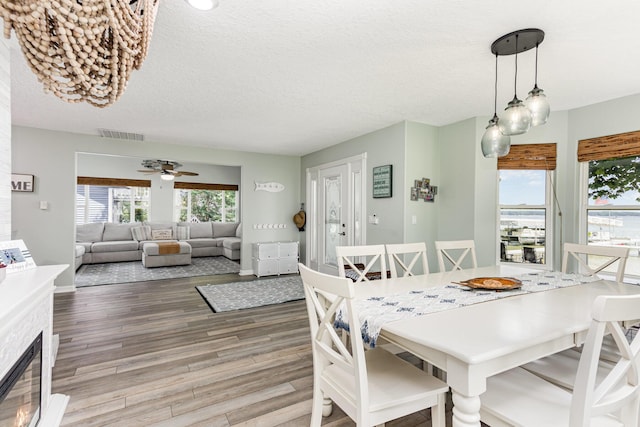 41 Treasure Island Blvd, Roscommon, MI 48653 - photo 6
