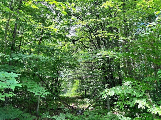 Tittabawassee Trl, Gaylord, MI 49735 - photo 2
