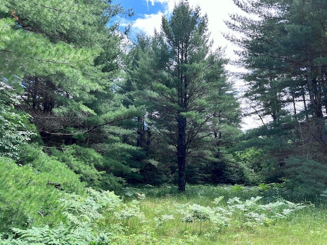 Tittabawassee Trl, Gaylord, MI 49735 - photo 3